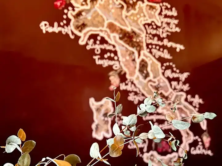 Eucalyptus branches in front of an illuminated map of Italy mounted on a dark wall